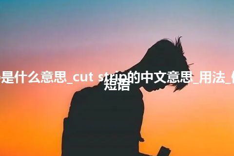 cut strip是什么意思_cut strip的中文意思_用法_例句_英语短语