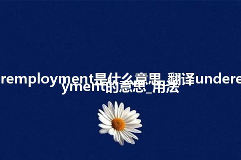 underemployment是什么意思_翻译underemployment的意思_用法