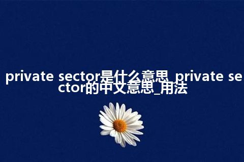 private sector是什么意思_private sector的中文意思_用法