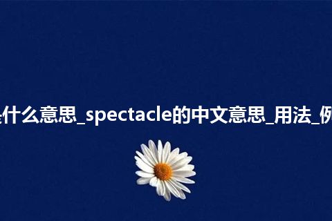 spectacle是什么意思_spectacle的中文意思_用法_例句_英语短语