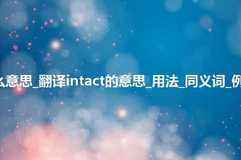 intact是什么意思_翻译intact的意思_用法_同义词_例句_英语短语