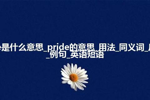 pride是什么意思_pride的意思_用法_同义词_反义词_例句_英语短语