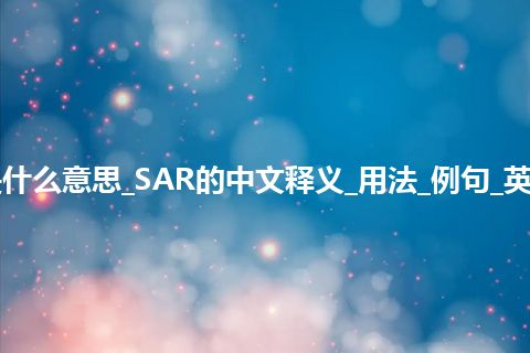 SAR是什么意思_SAR的中文释义_用法_例句_英语短语