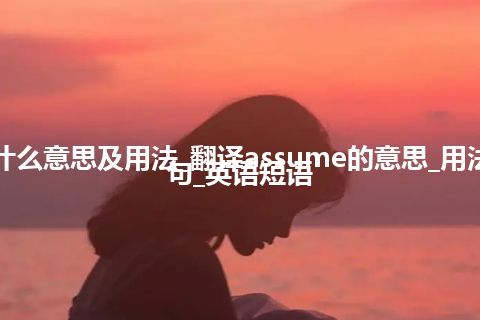 assume是什么意思及用法_翻译assume的意思_用法_同义词_例句_英语短语