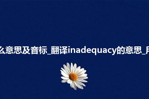 inadequacy是什么意思及音标_翻译inadequacy的意思_用法_同义词_反义词