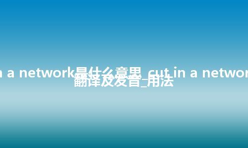 cut in a network是什么意思_cut in a network怎么翻译及发音_用法