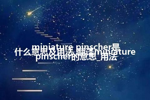 miniature pinscher是什么意思及用法_翻译miniature pinscher的意思_用法