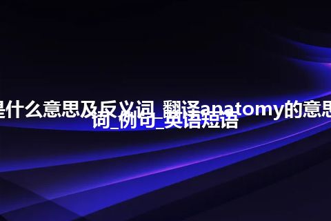 anatomy是什么意思及反义词_翻译anatomy的意思_用法_同义词_例句_英语短语