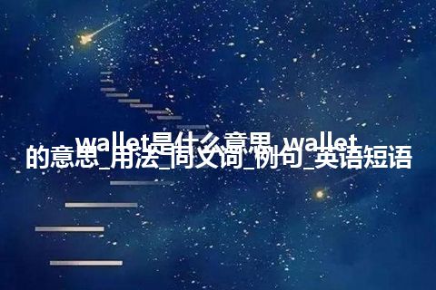 wallet是什么意思_wallet的意思_用法_同义词_例句_英语短语