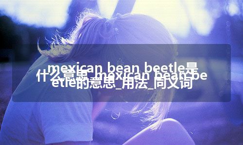 mexican bean beetle是什么意思_mexican bean beetle的意思_用法_同义词