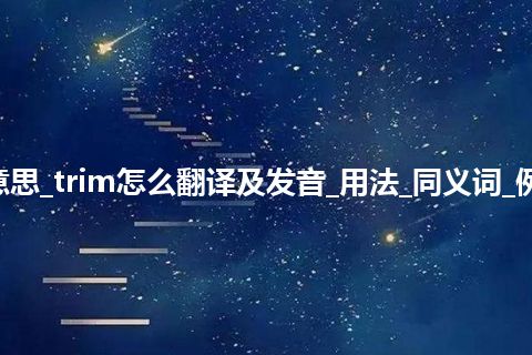 trim是什么意思_trim怎么翻译及发音_用法_同义词_例句_英语短语