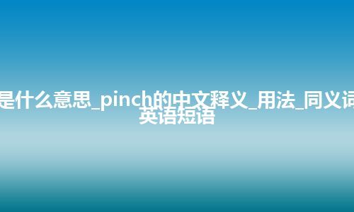 pinch是什么意思_pinch的中文释义_用法_同义词_例句_英语短语