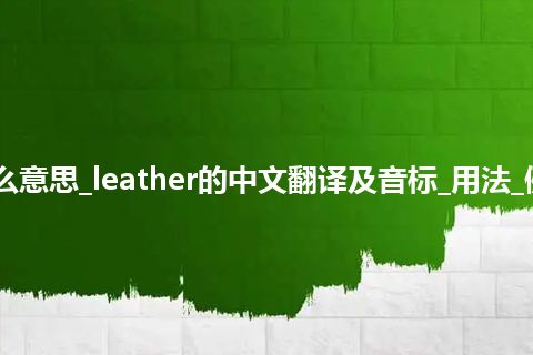 leather是什么意思_leather的中文翻译及音标_用法_例句_英语短语