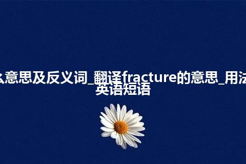 fracture是什么意思及反义词_翻译fracture的意思_用法_同义词_例句_英语短语