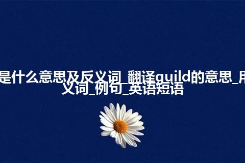 guild是什么意思及反义词_翻译guild的意思_用法_同义词_例句_英语短语