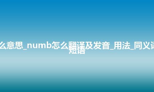 numb是什么意思_numb怎么翻译及发音_用法_同义词_例句_英语短语