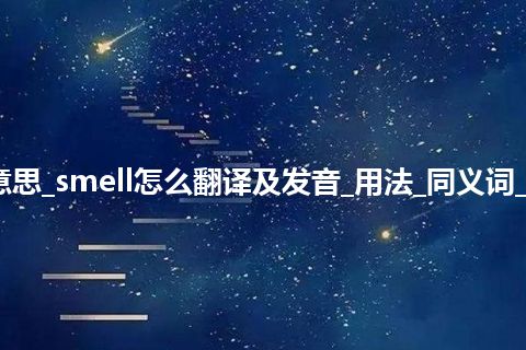 smell是什么意思_smell怎么翻译及发音_用法_同义词_例句_英语短语