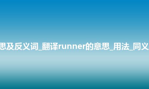 runner是什么意思及反义词_翻译runner的意思_用法_同义词_例句_英语短语