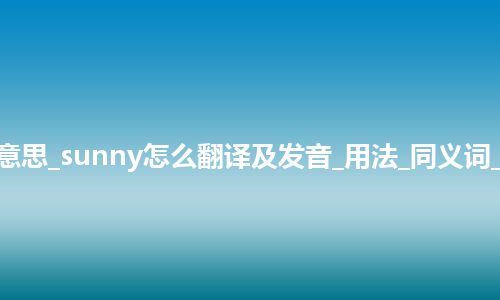 sunny是什么意思_sunny怎么翻译及发音_用法_同义词_例句_英语短语