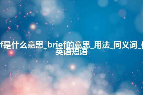 brief是什么意思_brief的意思_用法_同义词_例句_英语短语