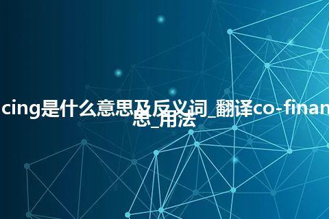 co-financing是什么意思及反义词_翻译co-financing的意思_用法