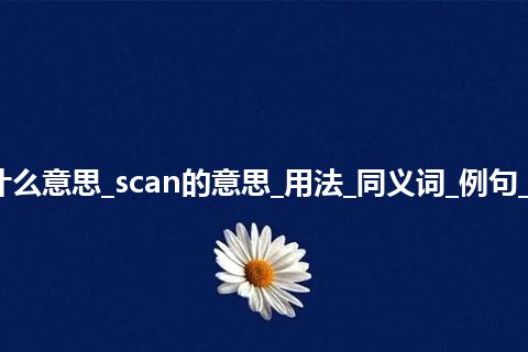 scan是什么意思_scan的意思_用法_同义词_例句_英语短语