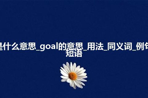 goal是什么意思_goal的意思_用法_同义词_例句_英语短语