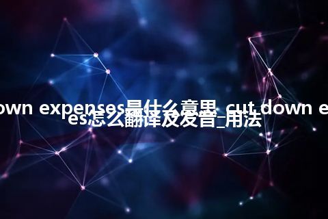 cut down expenses是什么意思_cut down expenses怎么翻译及发音_用法