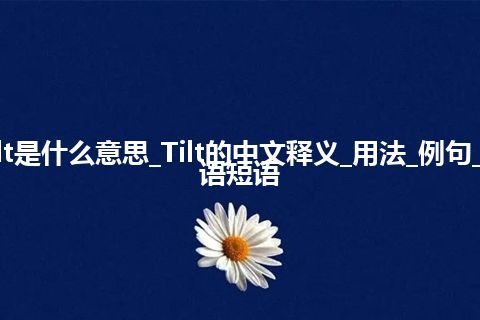 Tilt是什么意思_Tilt的中文释义_用法_例句_英语短语