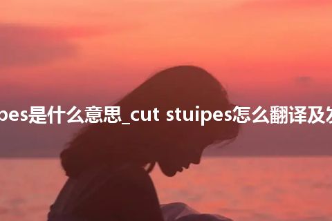 cut stuipes是什么意思_cut stuipes怎么翻译及发音_用法