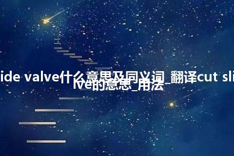 cut slide valve什么意思及同义词_翻译cut slide valve的意思_用法