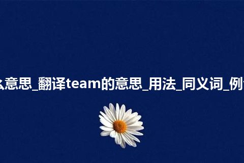 team是什么意思_翻译team的意思_用法_同义词_例句_英语短语