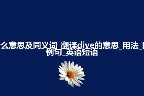 dive什么意思及同义词_翻译dive的意思_用法_同义词_例句_英语短语