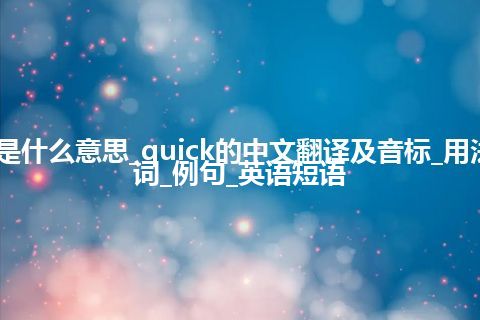 quick是什么意思_quick的中文翻译及音标_用法_同义词_例句_英语短语