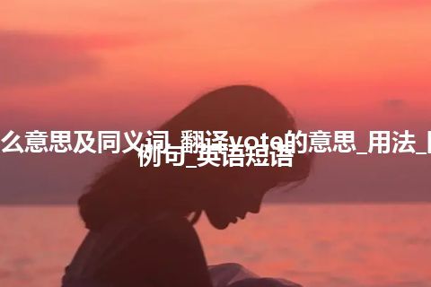 vote什么意思及同义词_翻译vote的意思_用法_同义词_例句_英语短语