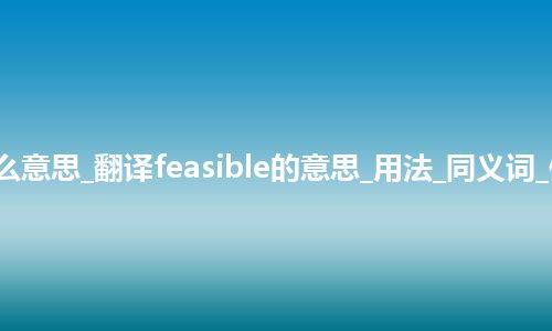 feasible是什么意思_翻译feasible的意思_用法_同义词_例句_英语短语