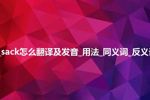 sack是什么意思_sack怎么翻译及发音_用法_同义词_反义词_例句_英语短语