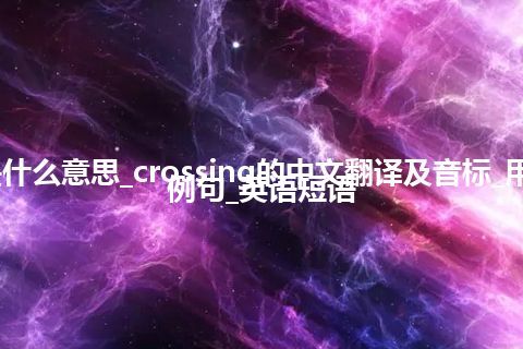 crossing是什么意思_crossing的中文翻译及音标_用法_同义词_例句_英语短语