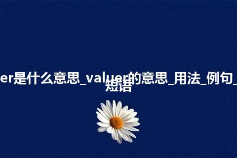 valuer是什么意思_valuer的意思_用法_例句_英语短语