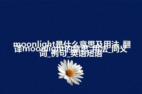 moonlight是什么意思及用法_翻译moonlight的意思_用法_同义词_例句_英语短语