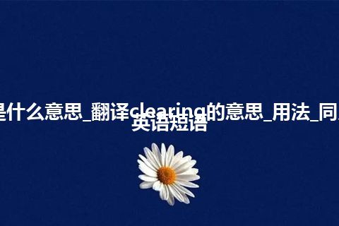 clearing是什么意思_翻译clearing的意思_用法_同义词_例句_英语短语