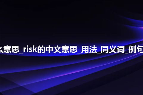 risk是什么意思_risk的中文意思_用法_同义词_例句_英语短语