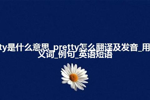 pretty是什么意思_pretty怎么翻译及发音_用法_同义词_例句_英语短语