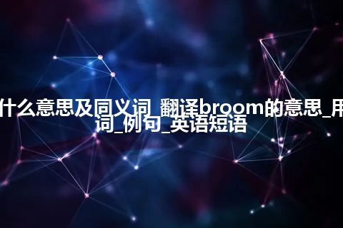 broom什么意思及同义词_翻译broom的意思_用法_同义词_例句_英语短语