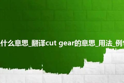 cut gear是什么意思_翻译cut gear的意思_用法_例句_英语短语