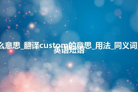 custom是什么意思_翻译custom的意思_用法_同义词_反义词_例句_英语短语