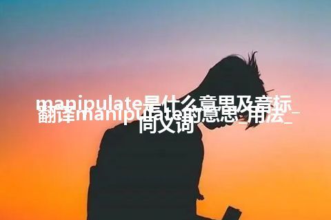 manipulate是什么意思及音标_翻译manipulate的意思_用法_同义词