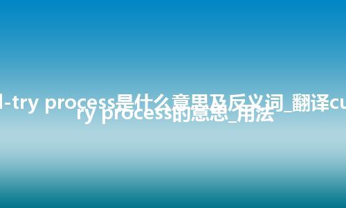 cut-and-try process是什么意思及反义词_翻译cut-and-try process的意思_用法