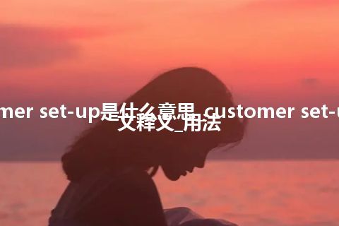 customer set-up是什么意思_customer set-up的中文释义_用法