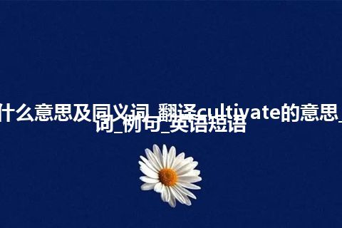 cultivate什么意思及同义词_翻译cultivate的意思_用法_同义词_例句_英语短语